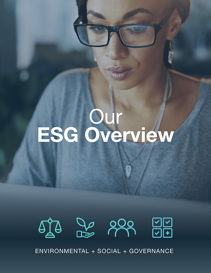 Our ESG overview